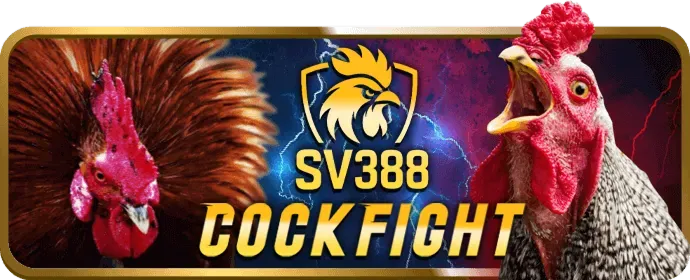 Cá cược Quần Vợt tại Wibet
