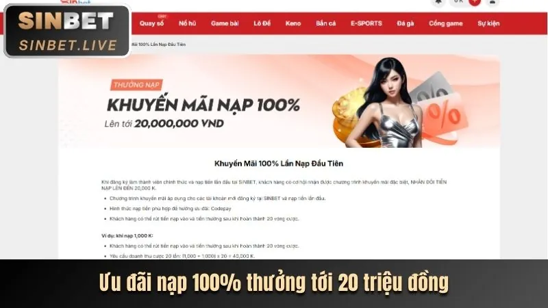 Hình ảnh minh họa việc chấp thuận điều khoản và xác minh độ tuổi tại wibet trang chủ chính thức